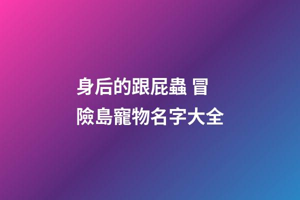 身后的跟屁蟲 冒險島寵物名字大全